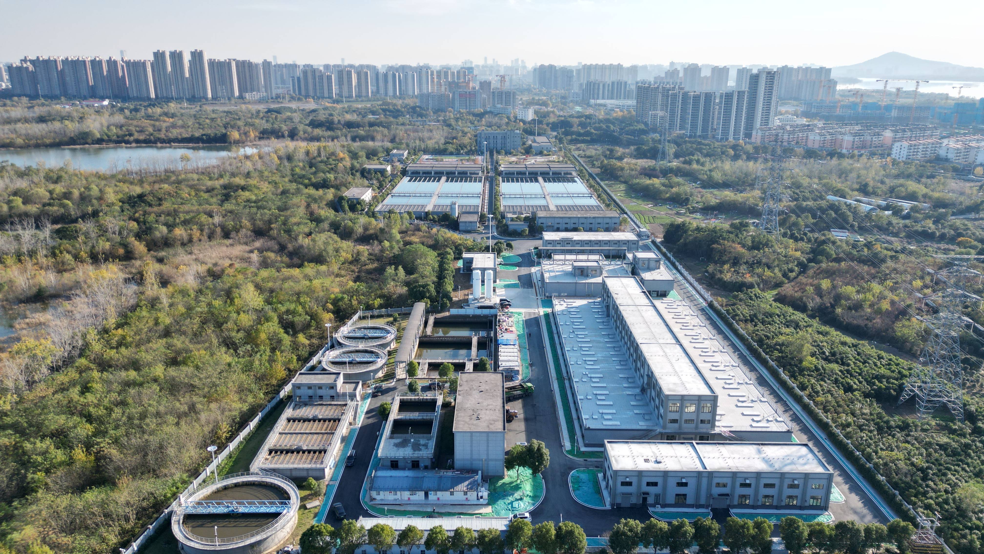 鹤岗市合肥专业企业价值增长(合肥市重点企业产业目录)