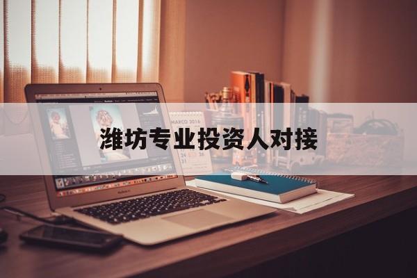 潍坊专业投资人对接(潍坊专业投资人对接中心)