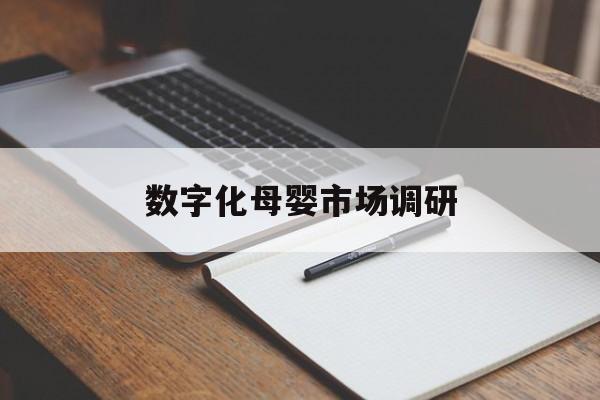 鹤岗市数字化母婴市场调研(数字化母婴市场调研报告)